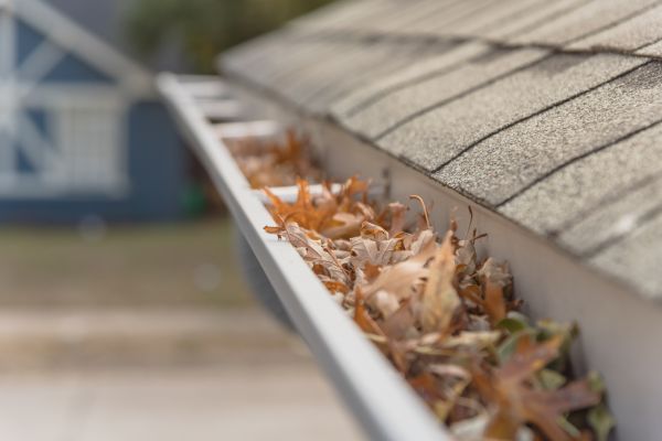 Leaf Barrier Installation in Boston